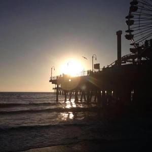 Meet your Posher, Hector